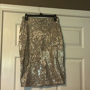 Sequin Silver Skirt